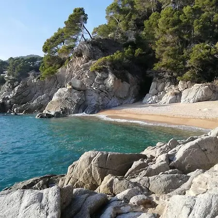 Mare Nostrum,12 Personen, Panoramisch Zeezicht * Lloret de Mar